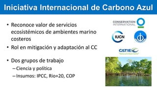 Iniciativa Internacional de Carbono Azul
• Reconoce valor de servicios
ecosistémicos de ambientes marino
costeros
• Rol en...