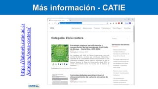 Carbono Azul: contexto global y regional