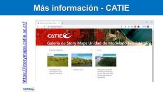 Carbono Azul: contexto global y regional