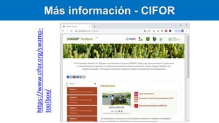 Carbono Azul: contexto global y regional