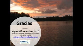 Carbono Azul: contexto global y regional