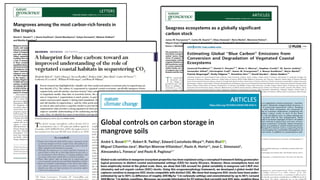 Carbono Azul: contexto global y regional