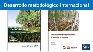 Carbono Azul: contexto global y regional