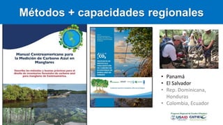 Carbono Azul: contexto global y regional