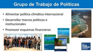 Carbono Azul: contexto global y regional