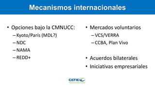Carbono Azul: contexto global y regional