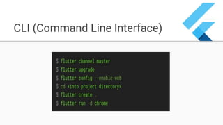 CLI (Command Line Interface)
 