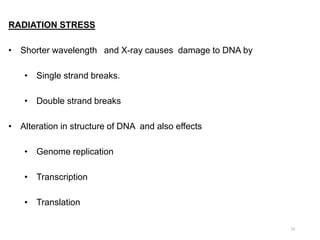 RADIATION STRESS
• Shorter wavelength and X-ray causes damage to DNA by
• Single strand breaks.
• Double strand breaks
• Alteration in structure of DNA and also effects
• Genome replication
• Transcription
• Translation
23
 
