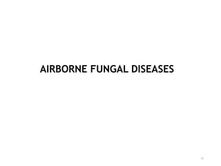 AIRBORNE FUNGAL DISEASES
33
 