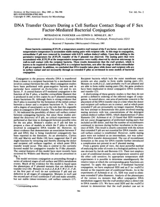 Vol. 162, No. 2
DNA Transfer Occurs During a Cell Surface Contact Stage of F Sex
Factor-Mediated Bacterial Conjugation
MITRADAS M. PANICKER AND EDWIN G. MINKLEY, JR.*
Department ofBiological Sciences, Carnegie-Mellon University, Pittsburgh, Pennsylvania 15213
Received 17 September 1984/Accepted 4 February 1985
Donor bacteria containing JCFL39, a temperature-sensitive traD mutant of the F sex factor, were used at the
nonpermissive temperature to accumulate stable mating pairs with recipient cells. At this stage in conjugation,
extracellular F pili were removed by treatment with 0.01% sodium dodecyl sulfate. Upon then shifting to the
permissive temperature for JCFL39, transfer of the F plasmid was observed. The mating pairs that were
accumulated with JCFL39 at the nonpermissive temperature were readily observed by electron microscopy in
wall-to-wall contact with the recipient bacteria. These results demonstrate that the traD product, which is
known to be required in transferring DNA to a recipient bacterium, acts after the stage at which extracellular
F pili are required. In addition, we concluded that DNA transfer takes place while donor and recipient cells are
in surface contact and not necessarily through an extended F pilus as envisioned in some models of bacterial
conjugation.
Conjugation is the process whereby DNA is transferred
from a donor to a recipient bacterium by a mechanism that
involves contact between the cells. Most conjugation studies
have been performed with gram-negative bacteria and in
particular have centered on Escherichia coli and its sex
factor, F. A central feature of F-mediated conjugation is the
function of the F pilus, a hairlike extracellular filament that
is produced in one or few copies by an F plasmid-containing
donor bacterium (9). Although there is strong evidence that
the F pilus is essential for the formation of the initial contact
between a donor and a recipient bacterium (4, 7), there is
still a degree of uncertainity as to the role that this organelle
plays in conjugative DNA transfer. The earliest observations
(5, 16) indicated the possibility of direct cell surface contact
between conjugating bacteria, but since these studies pre-
dated the discovery of F pili, no critical experiments were
performed at that time to distinguish between possible roles
for the sex pilus. Brinton's studies on F pili led him to
propose a class of models in which the F pilus is directly
involved in conjugative DNA transfer (6). However, no
direct evidence that demonstrates an association between F
pili and DNA that is being transferred conjugatively has
been reported in the literature. As an alternative, Curtiss
(10) and Marvin and Hohn (18) have suggested that F pili
might function by retracting and thereby drawing the donor
and recipient cell surfaces together, at which point DNA
transfer would occur. This idea is central to the currently
favored model for conjugative transfer by F-like plasmids.
The central features of this model have most recently been
reviewed by Willetts and Skurray (26) and are presented in
Fig. 1.
The model envisions conjugation as proceeding through a
series of ordered stages of cell surface and DNA metabolism
events. Much of the evidence for this model is based upon
the phenotypes of F plasmid mutants that are deficient in
transfer (tra) (26). Mutants in traA,L,E,K,B,V,W,C,U, F,H,
or the first part of traG do not synthesize F pili and are
defective in all stages of conjugation. Mutants in traN and
the second part of traG synthesize F pili and make unstable,
but not stable (shear-resistant), cell surface contacts (17).
*
Corresponding author.
Recipient bacteria which lack the outer membrane ompA
protein are also unable to form stable mating pairs (21).
Mutants in traM,D,I,Z, (and probably tra 1) are piliated and
are able to form stable mating pairs (26); the gene products
have been implicated in donor conjugative DNA synthesis
and transfer (15).
A shortcoming of these genetic studies is that they do not
permit a definitive ordering of the inferred stages of conju-
gation. As noted above, one area of particular concern is the
placement ofthe DNA transfer step at a time when the donor
and recipient cell surfaces are in contact, and at which point
extended F pili are presumably no longer required. Perhaps
the best attempt to demonstrate this point involved treating
mating mixtures with low concentrations of the detergent
sodium dodecyl sulfate (SDS), which depolymerizes F pilus
filaments (24). Achtman et al. (3) found that SDS treatment
did not cause disaggregation of preformed mating pairs that
included an Hfr donor, and that the number of recombinants
continued to increase during further incubation in the pres-
ence of SDS. This result is clearly consistent with the notion
that extended F pili are not essential for DNA transfer, once
cell surface contact is established. However, stable mating
pairs were not isolated as an intermediate, nor was subse-
quent DNA transfer demonstrated. The use of recombinant
formation as the assay for DNA transfer further introduced
a complication not present in an F plasmid mating.
From a genetic point of view, the most powerful method
of analyzing the order of events in a biological pathway is the
one devised by Jarvik and Botstein (13). Their test employs
a pair of conditional mutants, one temperature sensitive and
the other cold sensitive; by appropriate temperature shift
experiments it is possible to determine unambiguously the
relative times at which the corresponding gene functions are
required. To apply this approach to F-mediated bacterial
conjugation, we have employed SDS and an F lac traD(Ts)
mutant as the requisite pair of conditional blocks. As in the
experiments of Achtman et al. (3), SDS was used to elimi-
nate extended F pilus filaments. Analysis of the phenotypes
of the various tra mutants that affect conjugative DNA
metabolism suggests that the traD product plays a direct role
in DNA transfer (15). We have used SDS and the traD(Ts)
mutant to demonstrate that the traD product can act in
584
JOURNAL OF BACTERIOLOGY, May 1985, p. 584-590
0021-9193/85/050584-07$02.00/0
Copyright X 1985, American Society for Microbiology
 