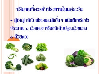 ปริมาณที่ควรรับประทานในแต่ละวัน
- ผู้ใหญ่ ผักใบเขียวและผักอื่นๆ ชนิดฝักหรือหัว
ประมาณ ๑ ถ้วยตวง หรือชนิดใบปรุงแล้วขนาด
๑ ถ้วยตวง
 