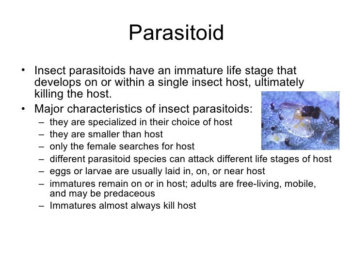 3 19 Biological Pest Controls Remake
