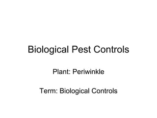Biological Pest Controls Plant: Periwinkle Term: Biological Controls 