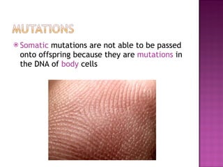 Somatic  mutations are not able to be passed onto offspring because they are  mutations  in the DNA of  body  cells 