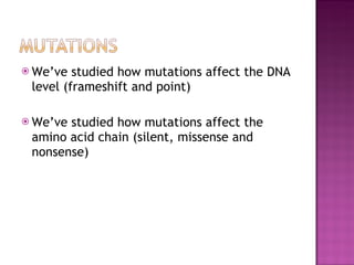 We’ve studied how mutations affect the DNA level (frameshift and point) We’ve studied how mutations affect the amino acid chain (silent, missense and nonsense) 