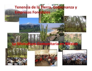 Tenencia de la Tierra, Gobernanza y 
 Empresas Forestales




La Silvicultura Comunitaria en México
 