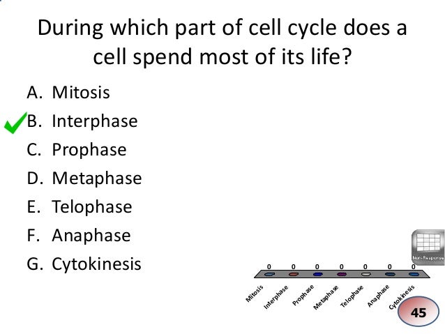 a short overview of the cell cycle Summary of the cell cycle introduction over time, many of the cells that make up our bodies age, die and need to be replaced the process by which a cell reproduces to create two identical copies is known as mitosis. a short overview of the cell cycle Summary of the cell cycle introduction over time, many of the cells that make up our bodies age, die and need to be replaced the process by which a cell reproduces to create two identical copies is known as mitosis.