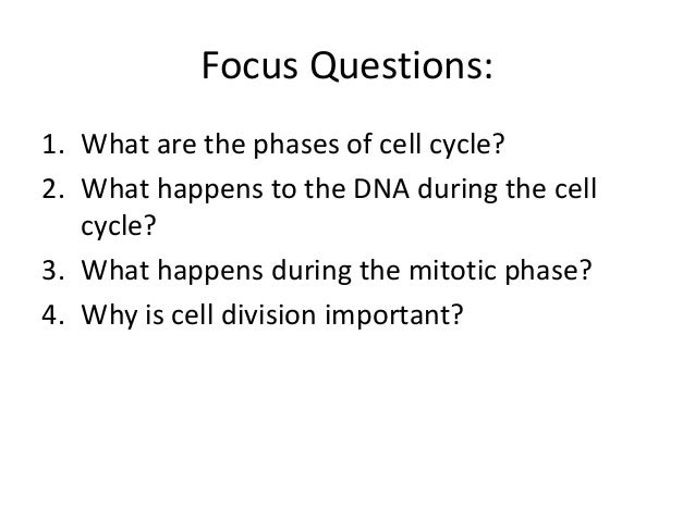 a short overview of the cell cycle Summary of the cell cycle introduction over time, many of the cells that make up our bodies age, die and need to be replaced the process by which a cell reproduces to create two identical copies is known as mitosis. a short overview of the cell cycle Summary of the cell cycle introduction over time, many of the cells that make up our bodies age, die and need to be replaced the process by which a cell reproduces to create two identical copies is known as mitosis.