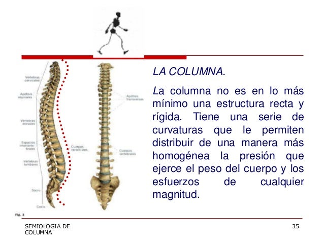 Los ejercicios a la osteocondrosis del departamento de pecho de la columna vertebral dikulya