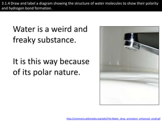 3.1.4 Draw and label a diagram showing the structure of water molecules to show their polarity
and hydrogen bond formation.




      Water is a weird and
      freaky substance.

      It is this way because
      of its polar nature.



                                       http://commons.wikimedia.org/wiki/File:Water_drop_animation_enhanced_small.gif
 