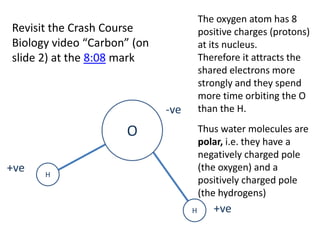 The oxygen atom has 8
Revisit the Crash Course               positive charges (protons)
Biology video “Carbon” (on             at its nucleus.
slide 2) at the 8:08 mark              Therefore it attracts the
                                       shared electrons more
                                       strongly and they spend
                                       more time orbiting the O
                             -ve       than the H.

                     O                 Thus water molecules are
                                       polar, i.e. they have a
                                       negatively charged pole
+ve   H
                                       (the oxygen) and a
                                       positively charged pole
                                       (the hydrogens)
                                   H      +ve
 