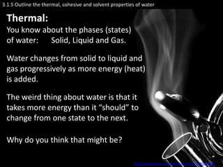 3.1.5 Outline the thermal, cohesive and solvent properties of water

 Thermal:
 You know about the phases (states)
 of water: Solid, Liquid and Gas.

 Water changes from solid to liquid and
 gas progressively as more energy (heat)
 is added.

 The weird thing about water is that it
 takes more energy than it “should” to
 change from one state to the next.

 Why do you think that might be?

                                                         http://www.flickr.com/photos/westy559/328563694/
 