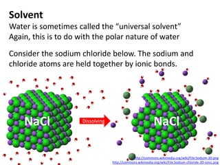 Solvent
Water is sometimes called the “universal solvent”
Again, this is to do with the polar nature of water
Consider the sodium chloride below. The sodium and
chloride atoms are held together by ionic bonds.




    NaCl             Dissolving                            NaCl

                                              http://commons.wikimedia.org/wiki/File:Sodium-3D.png
                                  http://commons.wikimedia.org/wiki/File:Sodium-chloride-3D-ionic.png
 