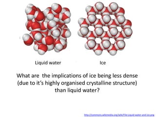 Liquid water                       Ice

What are the implications of ice being less dense
(due to it’s highly organised crystalline structure)
                 than liquid water?


                            http://commons.wikimedia.org/wiki/File:Liquid-water-and-ice.png
 