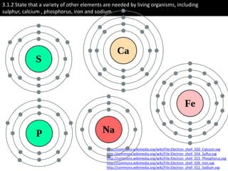 3.1.2 State that a variety of other elements are needed by living organisms, including
sulphur, calcium , phosphorus, iron and sodium




                                             http://commons.wikimedia.org/wiki/File:Electron_shell_020_Calcium.svg
                                             http://commons.wikimedia.org/wiki/File:Electron_shell_016_Sulfur.svg
                                             http://commons.wikimedia.org/wiki/File:Electron_shell_015_Phosphorus.svg
                                             http://commons.wikimedia.org/wiki/File:Electron_shell_026_Iron.svg
                                             http://commons.wikimedia.org/wiki/File:Electron_shell_011_Sodium.svg
 