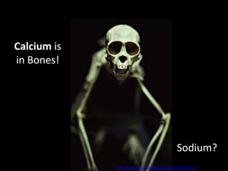 Calcium is
in Bones!




                                                Sodium?
             http://www.flickr.com/photos/mugley/3491817141/
 