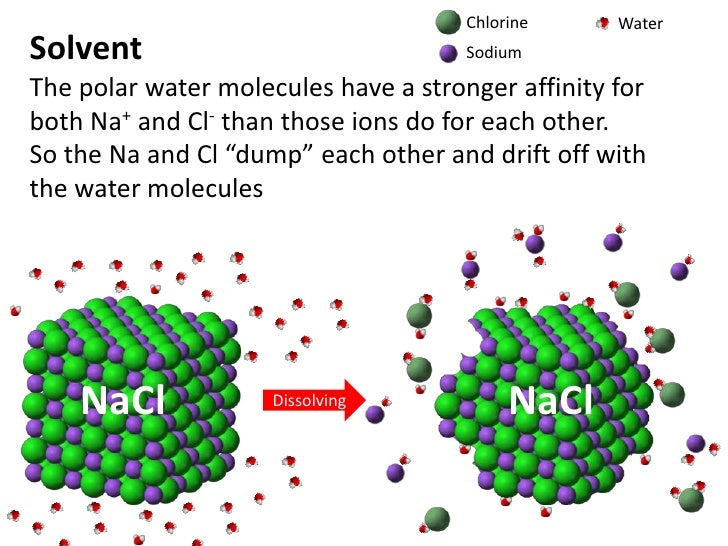 and water elements chemical biology ib Chemical Core 3.1: Water Elements and IB Biology and water elements chemical biology ib Chemical Core 3.1: Water Elements and IB Biology