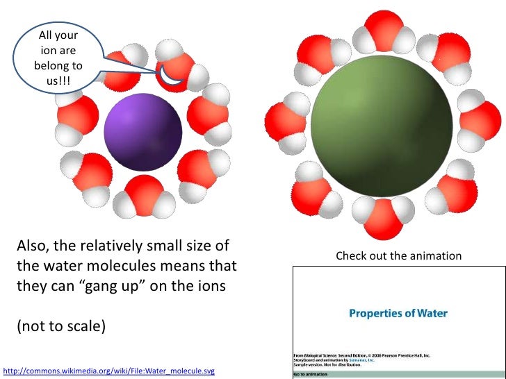 chemical ib water elements biology and Chemical Biology Water IB 3.1: Core Elements and chemical ib water elements biology and Chemical Biology Water IB 3.1: Core Elements and