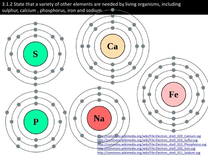 and chemical water biology ib elements Core 3.1: Chemical Elements IB and Water Biology and chemical water biology ib elements Core 3.1: Chemical Elements IB and Water Biology