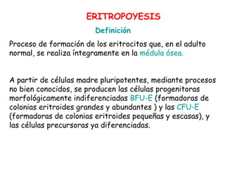 Definición
Proceso de formación de los eritrocitos que, en el adulto
normal, se realiza íntegramente en la médula ósea.
A partir de células madre pluripotentes, mediante procesos
no bien conocidos, se producen las células progenitoras
morfológicamente indiferenciadas BFU-E (formadoras de
colonias eritroides grandes y abundantes ) y las CFU-E
(formadoras de colonias eritroides pequeñas y escasas), y
las células precursoras ya diferenciadas.
ERITROPOYESIS
 