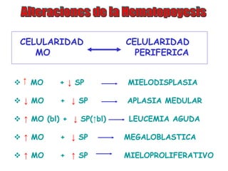 CELULARIDAD CELULARIDAD
MO PERIFERICA
 MO + ↓ SP MIELODISPLASIA
 ↓ MO + ↓ SP APLASIA MEDULAR
 ↑ MO (bl) + ↓ SP(↑bl) LEUCEMIA AGUDA
 ↑ MO + ↓ SP MEGALOBLASTICA
 ↑ MO + ↑ SP MIELOPROLIFERATIVO
↑
 