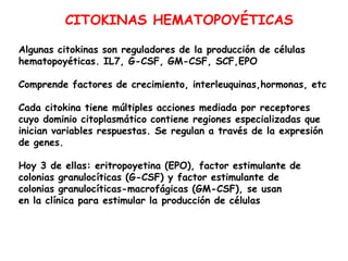 Algunas citokinas son reguladores de la producción de células
hematopoyéticas. IL7, G-CSF, GM-CSF, SCF,EPO
Comprende factores de crecimiento, interleuquinas,hormonas, etc
Cada citokina tiene múltiples acciones mediada por receptores
cuyo dominio citoplasmático contiene regiones especializadas que
inician variables respuestas. Se regulan a través de la expresión
de genes.
Hoy 3 de ellas: eritropoyetina (EPO), factor estimulante de
colonias granulocíticas (G-CSF) y factor estimulante de
colonias granulocíticas-macrofágicas (GM-CSF), se usan
en la clínica para estimular la producción de células
CITOKINAS HEMATOPOYÉTICAS
 