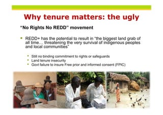 Why tenure matters: the ugly
“No Rights No REDD” movement

 REDD+ has the potential to result in “the biggest land grab o...