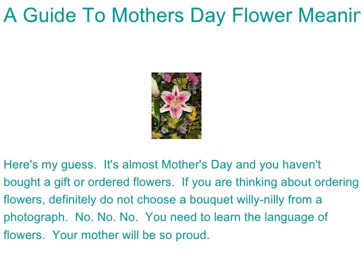 A Guide To Mothers Day Flower Meanings