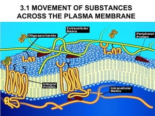 3.1 MOVEMENT OF SUBSTANCES
ACROSS THE PLASMA MEMBRANE
 