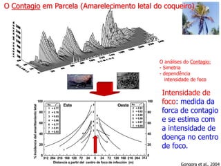 O Contagio em Parcela (Amarelecimento letal do coqueiro)

O análises do Contagio:
- Simetria
- dependência
intensidade de foco

% Incidencia del amarillamiento letal

100

100
No

r

2

1 = 0.77

80

Este

2

2 = 0.76

6
2

3 = 0.83

60
40

Oeste

8

4 = 0.96

4

6 = 0.77
7 = 0.91
8 = 0.83

4

7

2

No

r

2
3
4
5
6
7

= 0.81
= 0.82
= 0.80
= 0.89
= 0.87
= 0.85

80
60

3 5
6

40

7
3

20

20
1

0

312 264 216 168 120 72 24 0 24 72 120 168 216 264 312
Distancia a partir del centro de foco de infección (m)

Intensidade de
foco: medida da
forca de contagio
e se estima com
a intensidade de
doença no centro
de foco.

0

Gongora et al., 2004

 
