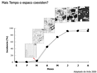 6
5
4
3
2
1

J
E

20
10 20

F
F

0
A

M
M

60
50
30 40
7080

A
A
6
5
4
3
2
1

Meses

6
5
4 N
Meters
3á
2
6
1
5
4
3
2
1

M
M

3
2
1

J
J

J
J

Time

10 20

METROS

Meters

METROS

Disease severity

Disease severity

A
6
5
4
3
2
1
100

90

70

Meters

N
METROS

10
METROS

Disease severity

METROS

Disease severity

METROS

Disease severity
Meters
METROS

METROS

Disease severi

METROS

Disease severity

Disease severity

6
5
100
90
4
7080
60
4050 3
20 30
2
10
Meters
1
N 6
6
A
5
á 5
4
4
3
3
2
6
2
1
5
100
90
1
80
4

60
4050
20 30

6
5
4
3
2
1

Adaptado de Avila 2000
METROS

N

Disease severity

Disease severity

Disease severity
METROS

Disease severit

6
5
4
3
2
1

ä
N

5
4
3
2
1

A 5060 708
A

30 40

METROS

METROS

ä

DiseaseMeters
severity

N60

METROS

METROS

Disease severity

Disease severity

6
Aug
5
4
3
2
1

6
5
4
3
2
1

Disease severity

6
5
4
3
2
1

Aug

6
5
4
3
2
1

Disease severity

40

METROS

80

METROS

6
5
4
3
2
1

METROS

100

Disease severity

ly

Disease severity

Incidence

ug
6
5
4
3
2
1

METROS

à

Disease severity

n
6
5
à4 N
3
2July
1

METROS

Disease severity

Mais Tempo o espaco coexisten?

5
4
3
2
1

á

6
5
4
3
2
1

10 2

ã

 