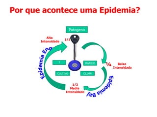 Por que acontece uma Epidemia?
Patogeno
Alta
Intensidade

1/1

?

MANEJO

CULTIVO

CLIMA

1/2
Media
Intensidade

¼

Baixa
Intensidada

 