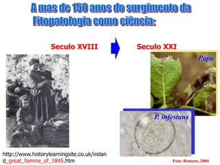 Seculo XVIII

Seculo XXI
Papa

P. infestans

http://www.historylearningsite.co.uk/irelan
d_great_famine_of_1845.htm

Foto: Romero, 2004

 