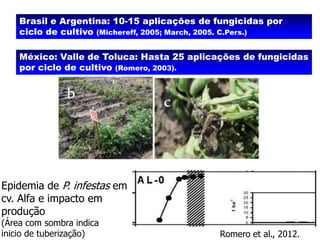 Brasil e Argentina: 10-15 aplicações de fungicidas por
ciclo de cultivo (Michereff, 2005; March, 2005. C.Pers.)
México: Valle de Toluca: Hasta 25 aplicações de fungicidas
por ciclo de cultivo (Romero, 2003).

Epidemia de P. infestas em
cv. Alfa e impacto em
produção
(Área com sombra indica
inicio de tuberização)

Romero et al., 2012.

 