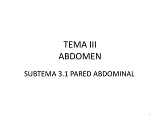 TEMA IIIABDOMEN SUBTEMA 3.1 PARED ABDOMINAL 1 