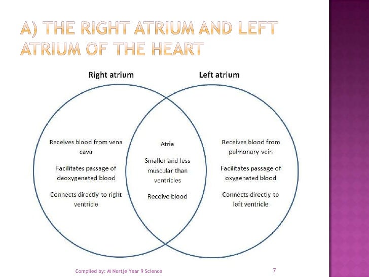 3.1 resp circulatory answer venn