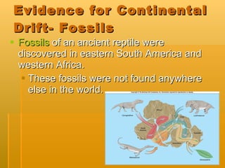 Evidence for Continental Drift- Fossils Fossils  of an ancient reptile were discovered in eastern South America and western Africa. These fossils were not found anywhere else in the world. 