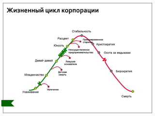 Жизненный цикл корпорации
 
