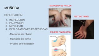MUÑECA
EXPLORACIÓN:
1. INSPECCIÓN
2. PALPACIÓN
3. MOVILIDAD
4. EXPLORACIONES ESPECÍFICAS
-Maniobra de Phalen
-Maniobra de Tinnel
-Prueba de Finkelstein
MANIOBRA DE PHALEN
TEST DE TINNEL
PRUEBA FINKELSTEIN
 