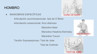 HOMBRO
● MANIOBRAS ESPECÍFICAS
Articulación acromioclavicular: test de O`Brien
Articulación subacromial: Arco doloroso
Maniobra Neer
Maniobra Hawkins-Kennedy
Maniobra Yocum
Tendón Supraespinoso: Test de Jobe
Test de Codman
 